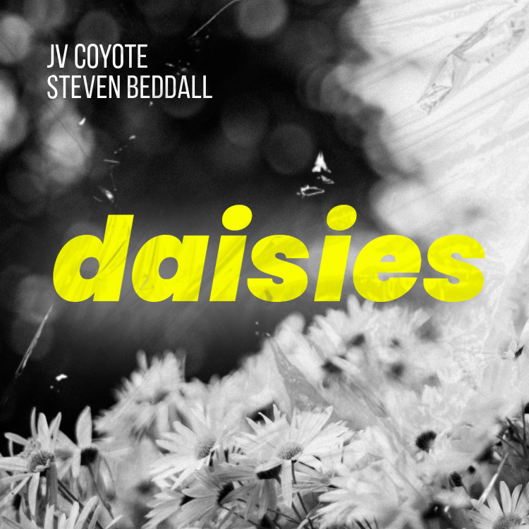 Daisies